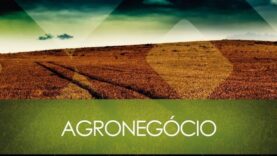 agronegocio